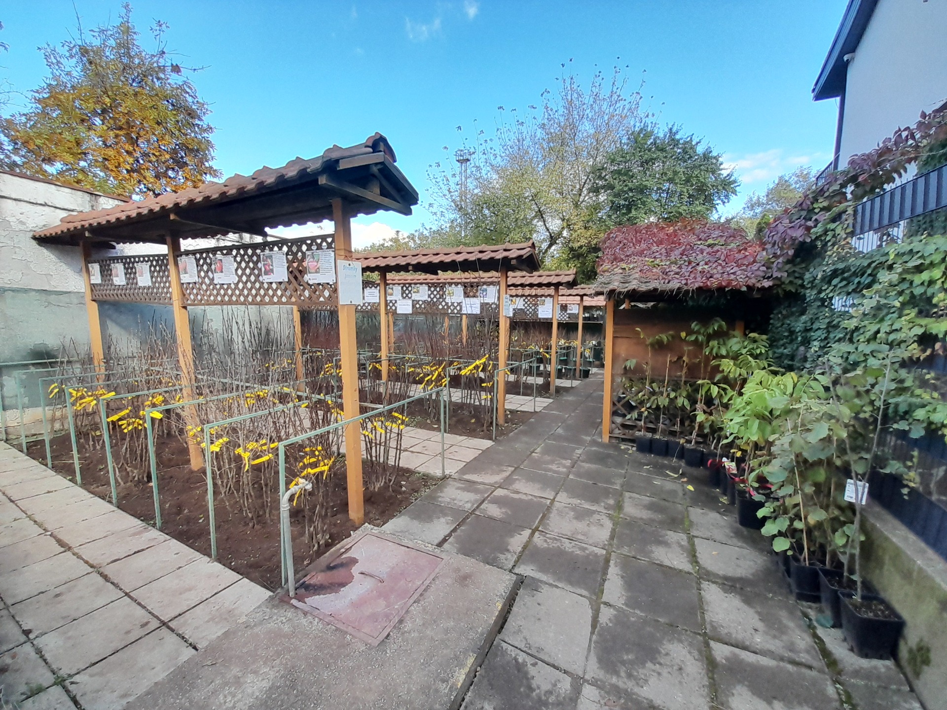 Naša predajňa na Krivej ulici v Košiciach