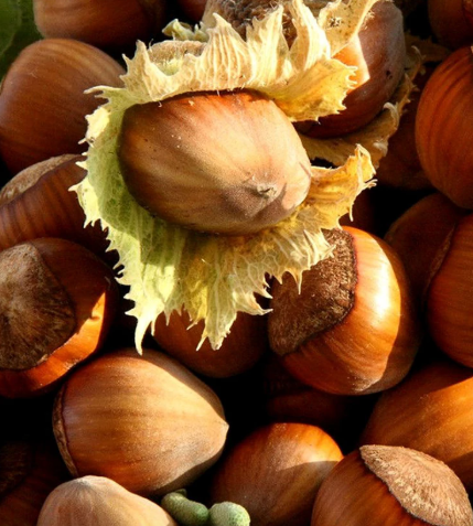 Bötermö Nagy